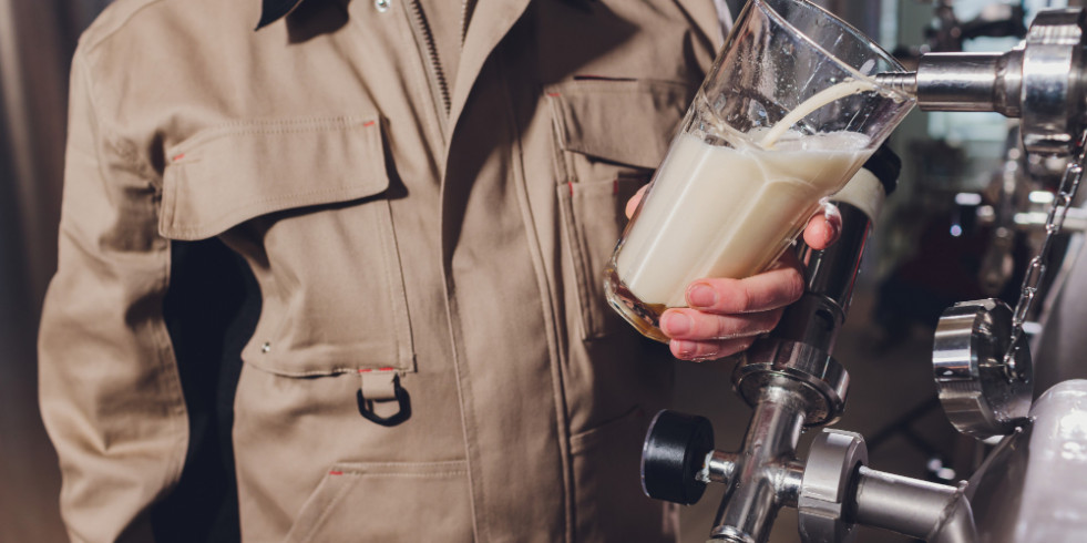 Cómo la gestión de los empleados está asociada a la incidencia de la mastitis bovina