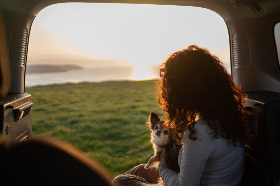 Viajar o no con una mascota: lo que se debe saber antes de llevar a un perro o gato de viaje