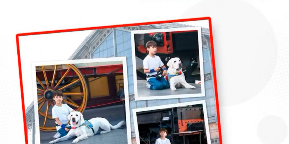 DogPoint y Royal Canin visibilizan la labor de los perros de asistencia en su calendario solidario 2025