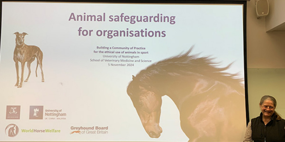 Anuncian una comunidad internacional para velar por el uso ético de los animales en el deporte