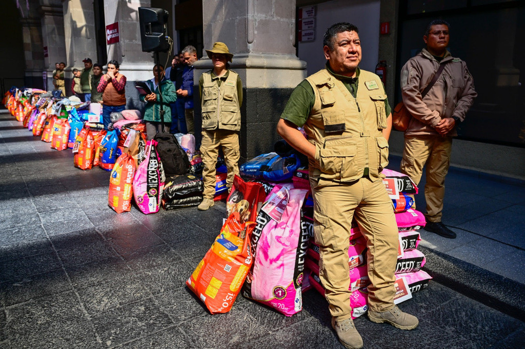 18 toneladas alimento México