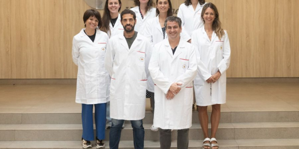 Un equipo español consigue mejorar hasta en un 10 % la fertilidad ovina gracias al uso de probióticos