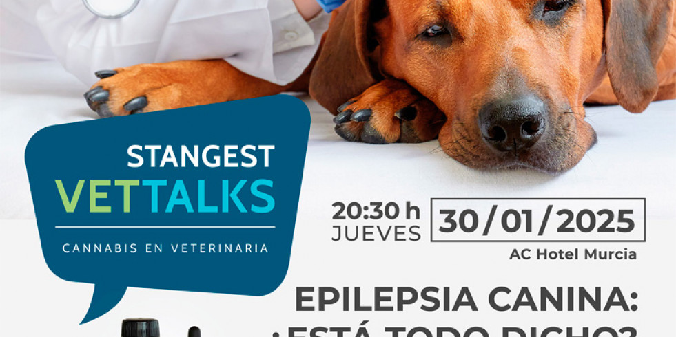 La quinta edición de Stangest Vet Talks tratará sobre la epilepsia canina