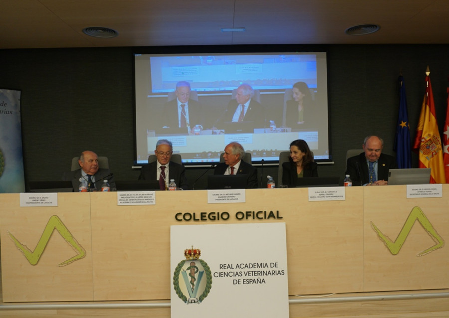 Portada premios racve
