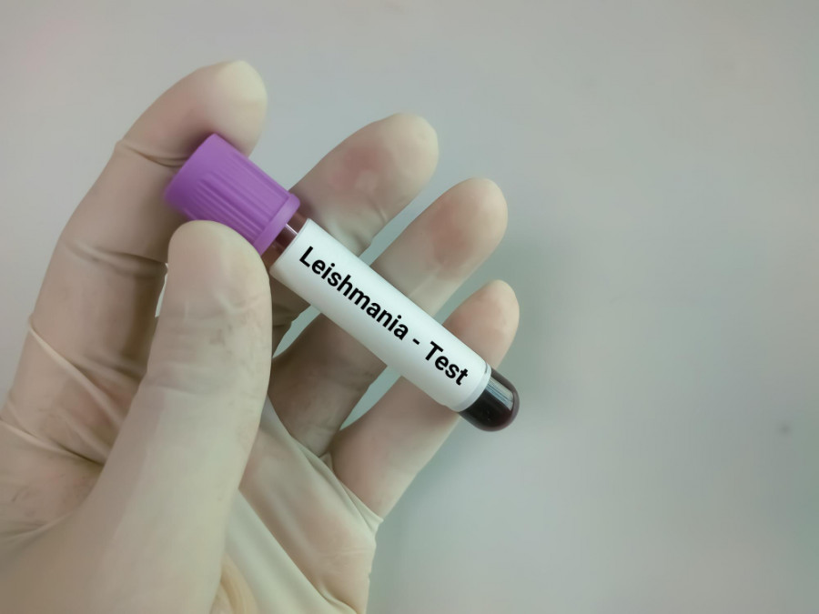 Leishmania