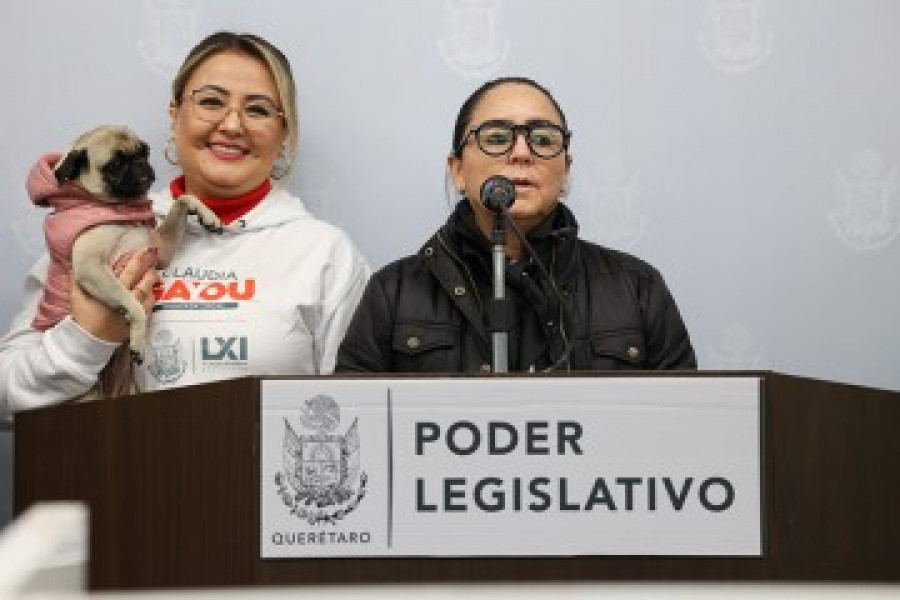 Piden diputadas de Querétaro la creación de una subprocuraduría estatal de protección a los animales