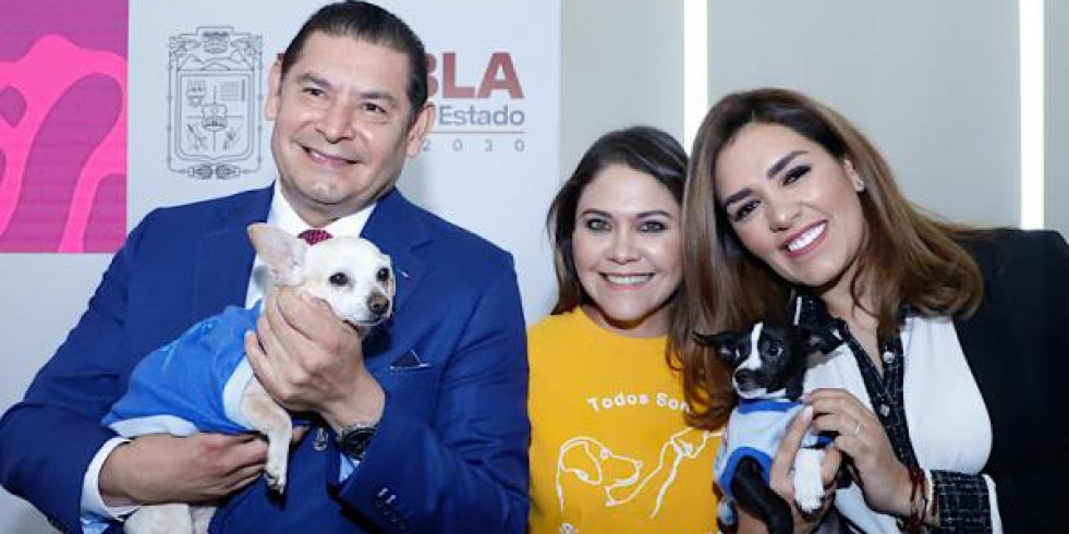 Ratifican 63 denuncias ante más de 300 reportes de maltrato animal en Puebla
