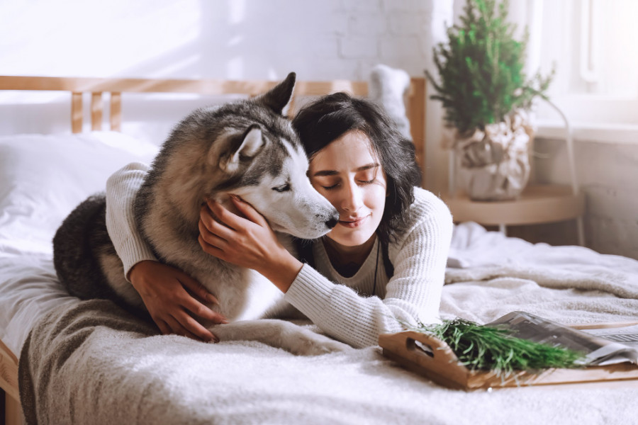 ¿La pandemia dejó huella en la relación entre tutor y perro? Comportamiento problemático canino está siendo un problema
