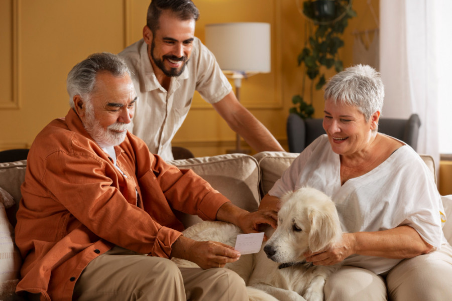 Residencia ancianos mascotas animales