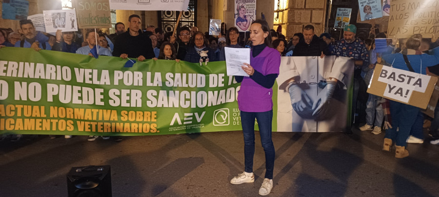 Manifestación veterinaria valencia