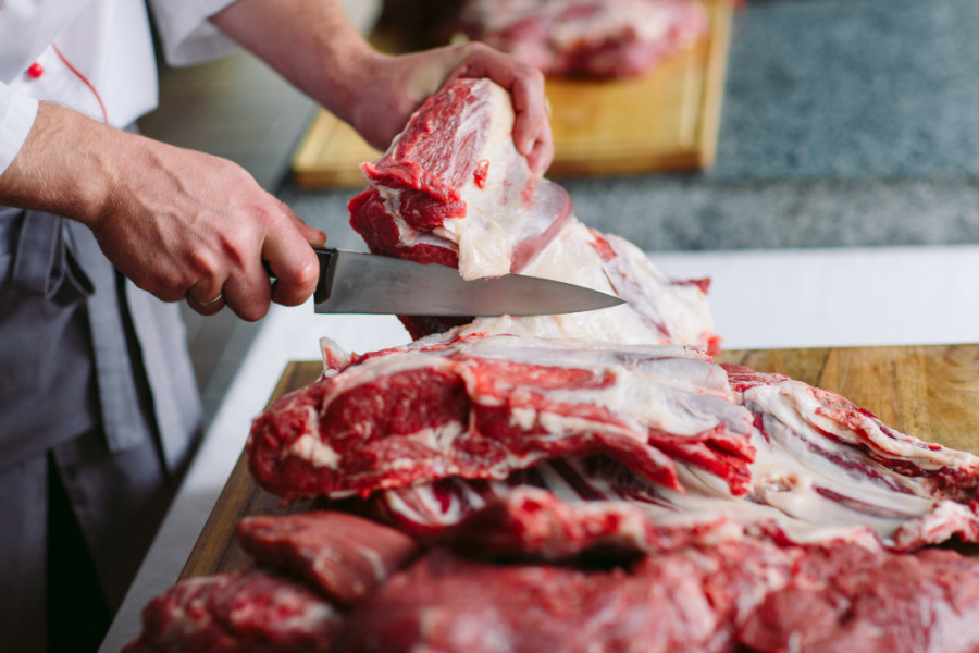 Campylobacter Euskadi