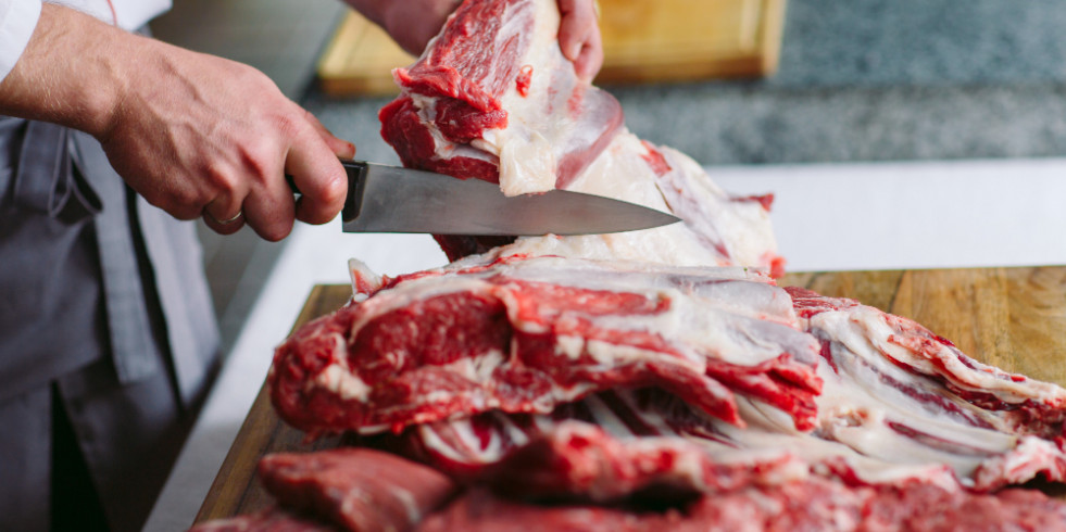 Primera caracterización de Campylobacter resistente de fuentes humanas y animales en País Vasco