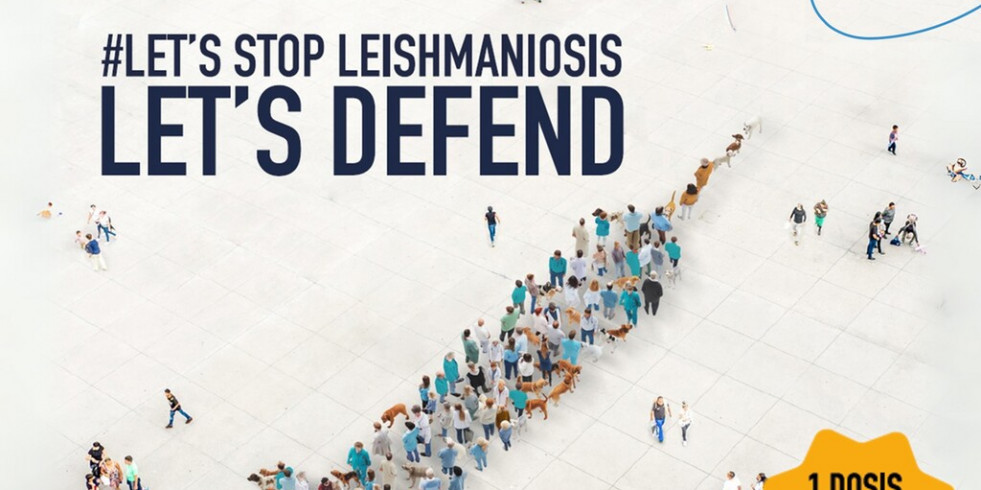 Presentan “LET'S STOP LEISHMANIOSIS, LET'S DEFEND”, para concienciar sobre la leishmaniosis canina