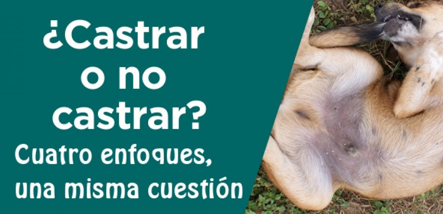 Castrar o no castrar