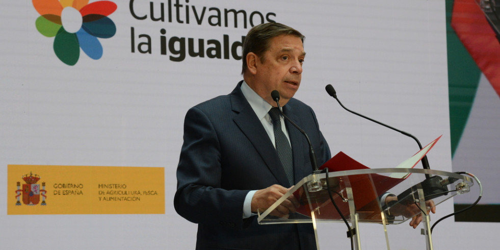 Publican la orden que establece la voluntariedad de la vacunación contra la lengua azul
