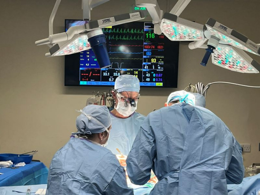 Estudio revela mejores resultados a largo plazo para cirugía de reparación de la válvula mitral canina