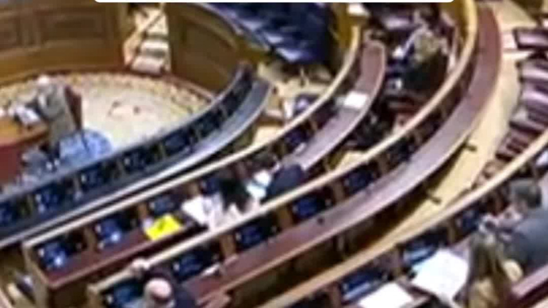 Reclaman crear una subcomisión en el Congreso para abordar la actual situación del sector veterinario en España