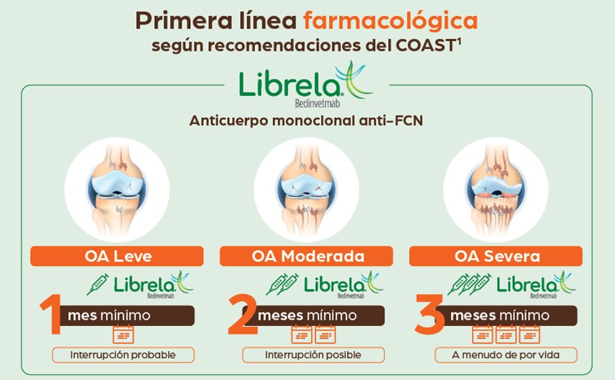 Imagen2