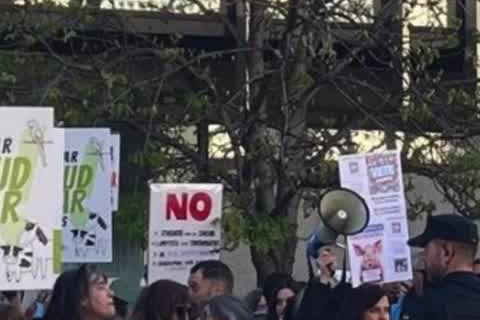 Los veterinarios se vuelven a manifestar y lamentan que “para el ministro, no existimos”