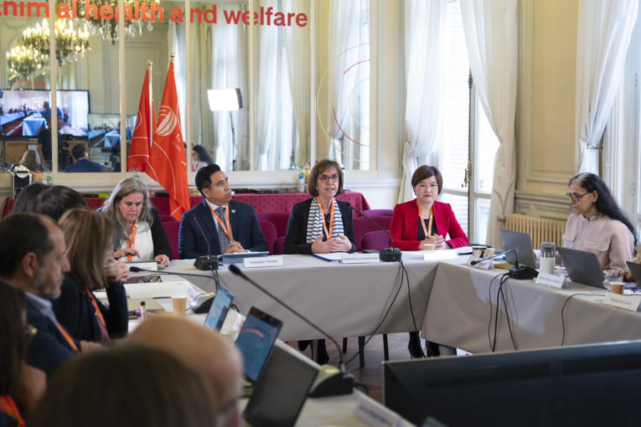 Reunión cuatripartito oms fao omsa (1)