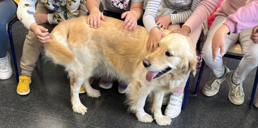 Royal Canin y Yaracán crean un programa con perros de intervención en colegios afectados por la DANA
