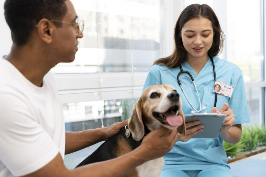 El sector veterinario, uno de los sectores con mayor tasa de jóvenes empleados