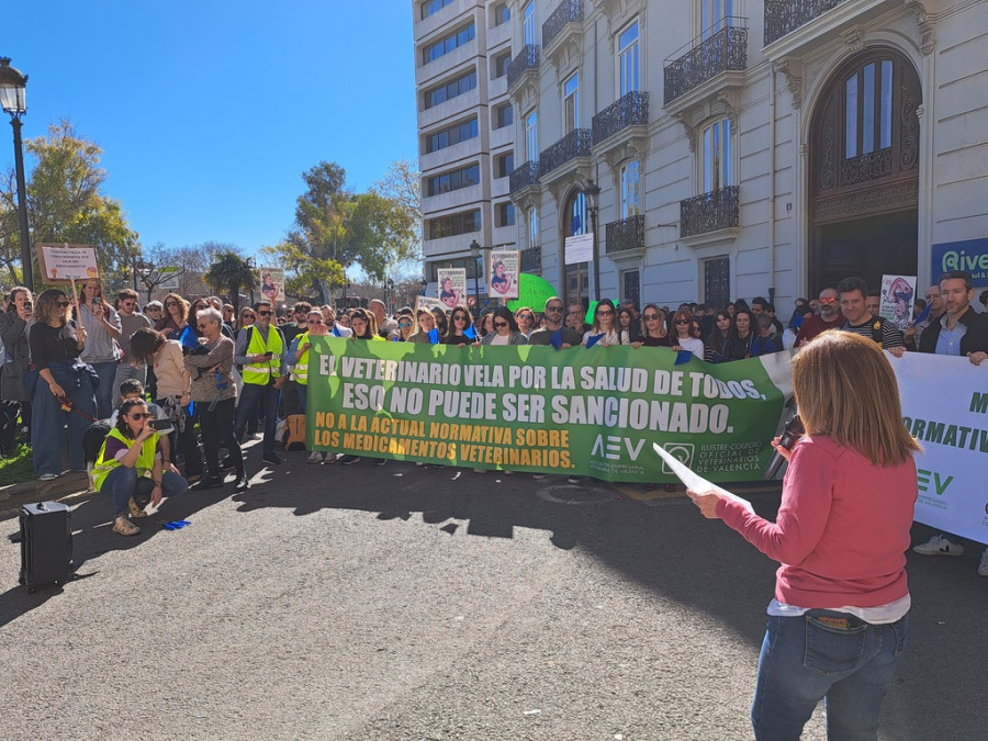 Inmaculada ibor manifestación (1)