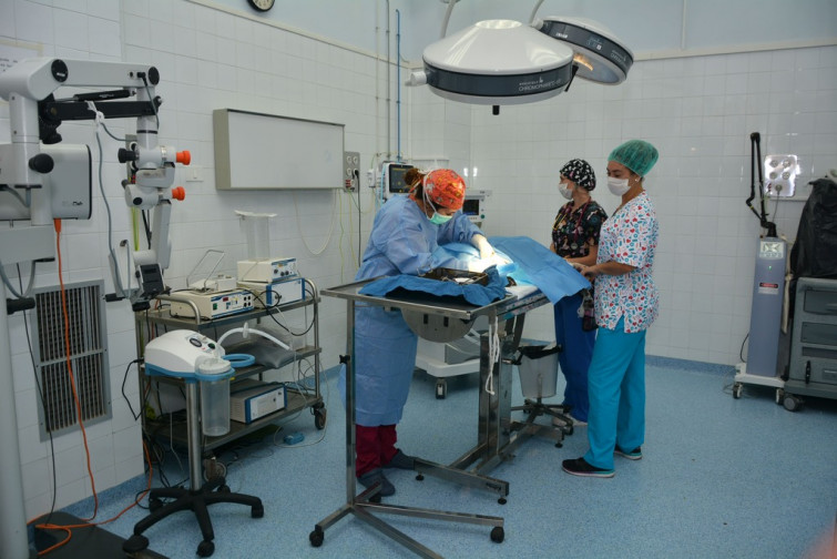 Miden el bienestar psicológico de estudiantado y docentes de la Facultad Veterinaria de la ULPGC