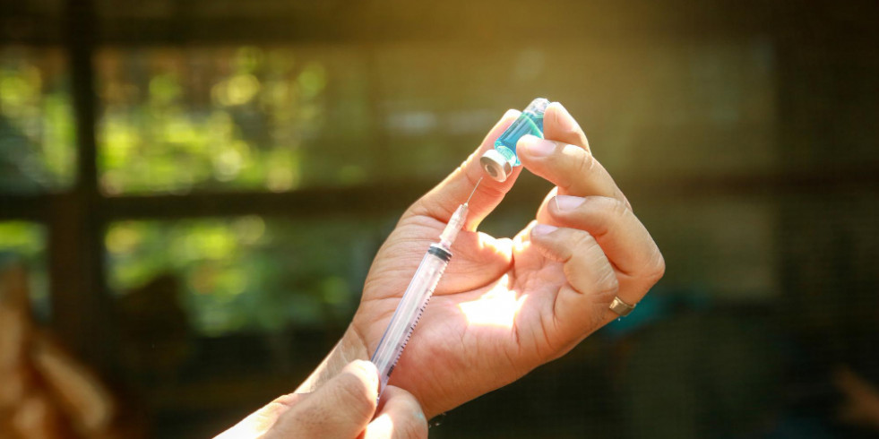 AEMPS informa de la detección de un defecto de calidad en un medicamento veterinario