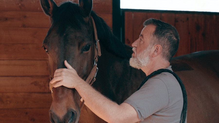 Mario soriano veterinario equino osteopatía (1)