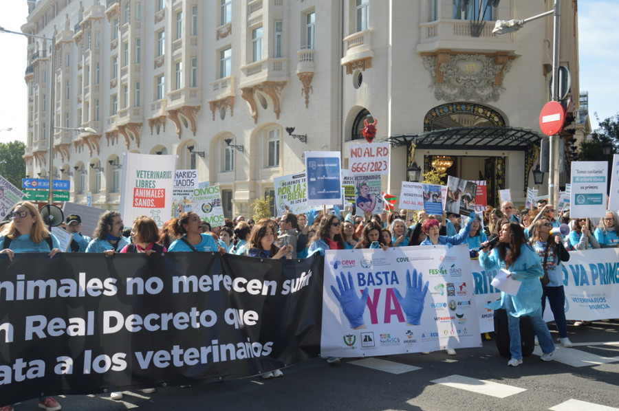 Concentración de veterinarios en Madrid.