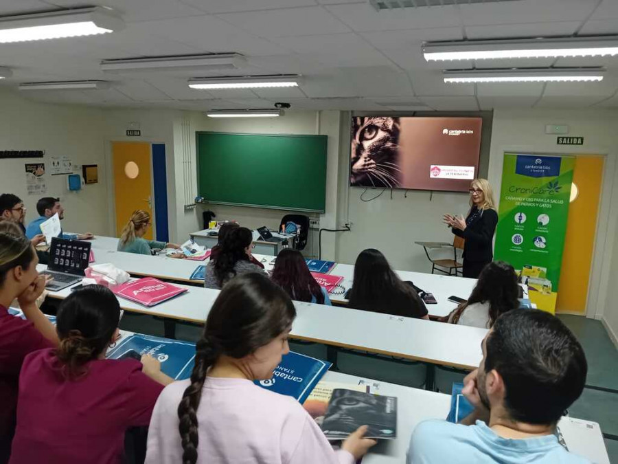 stangest universidad córdoba cannabis veterinaria