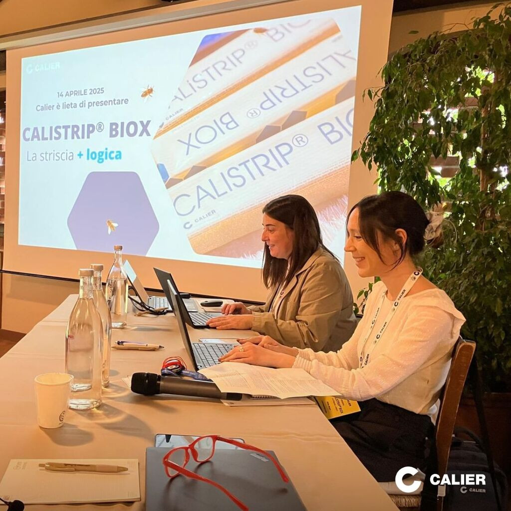 Calier italia 1