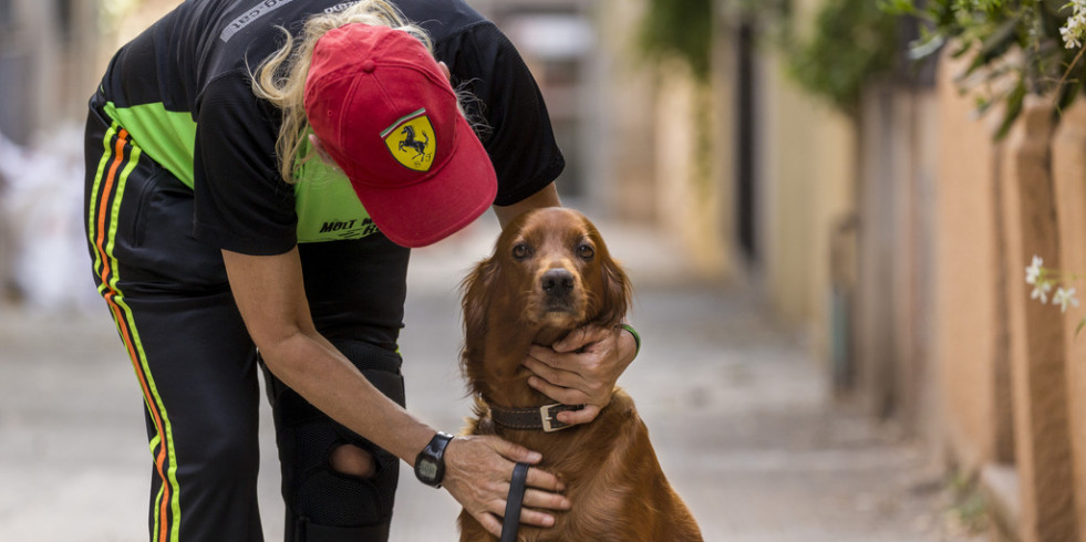 El 91% de personas vulnerables considera a su animal como principal fuente de apoyo social