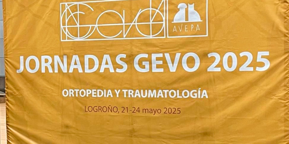 B. Braun un año más presente en el Congreso del Grupo de Traumatología (GEVO) de AVEPA presentando sus novedades