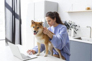 Telemedicina veterinaria: ¿cumple las expectativas de los propietarios de animales de compañía?