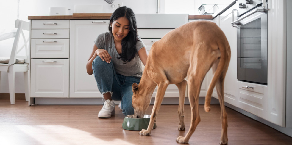 Los dueños de perros están dispuestos a pagar más por alimentos que cuiden la salud de sus animales