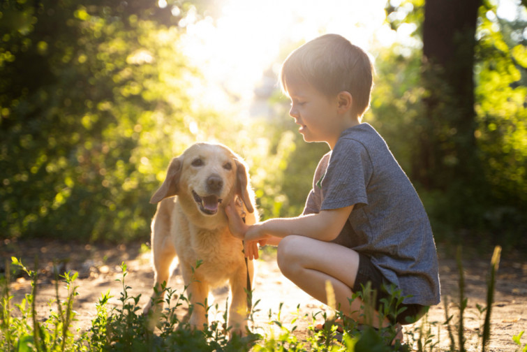 La exposición temprana de niños con perros podría prevenir el eczema
