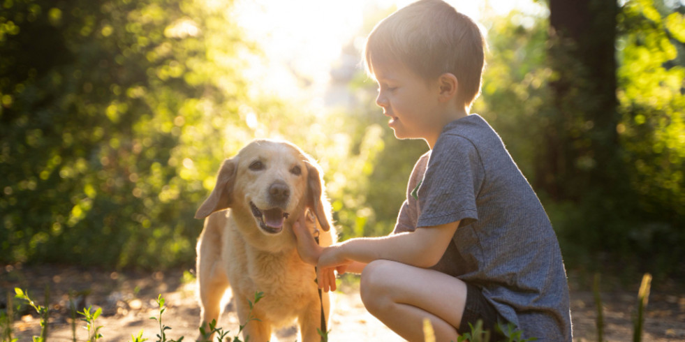 La exposición temprana de niños con perros podría prevenir el eczema