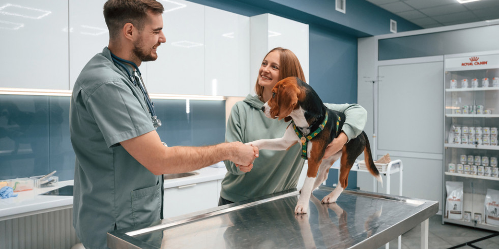 La industria veterinaria triplica su valor en solo una década