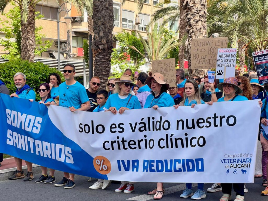 manifestación junio Alicante