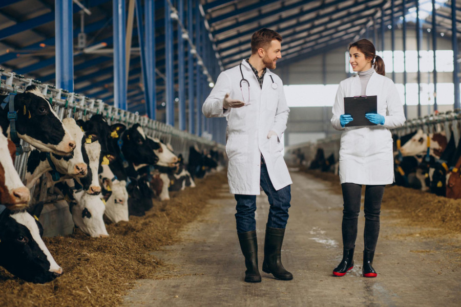 Antimicrobianos veterinarios