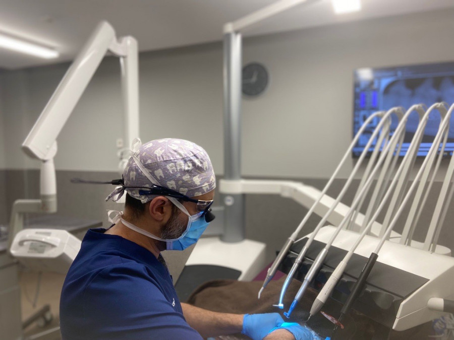 Odontología veterinaria centauro