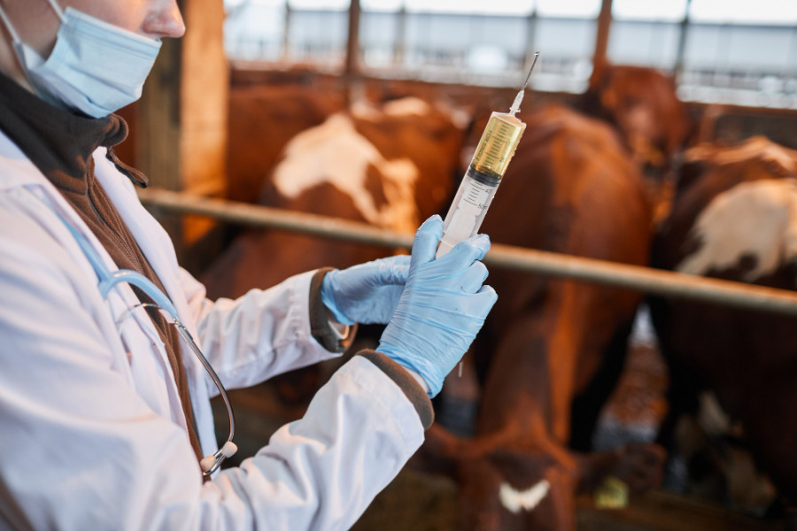 Alerta medicamento paramectin y noromectin