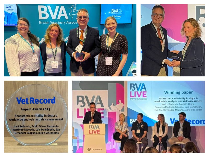 Premio BVA