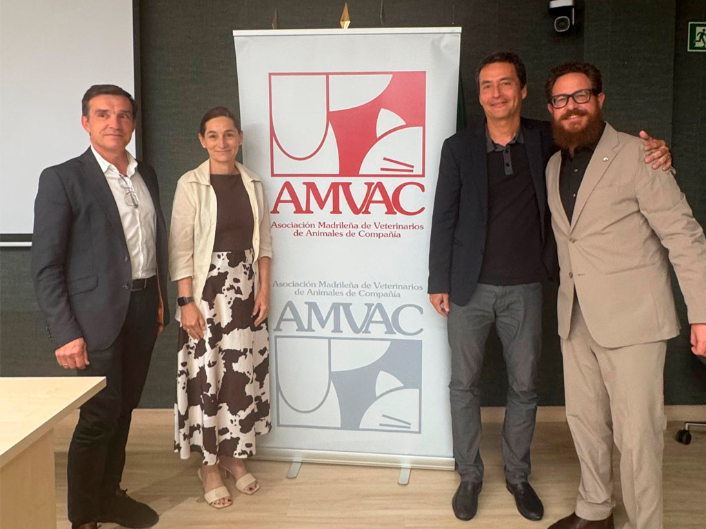 Informe amvac 2025
