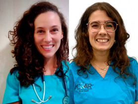 Enfoque multimodal en el manejo del paciente geriátrico de la mano de Marina Gonzalo y Eva Vidal