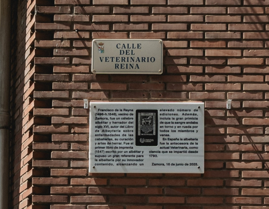 Calle Francisco de la Reyna