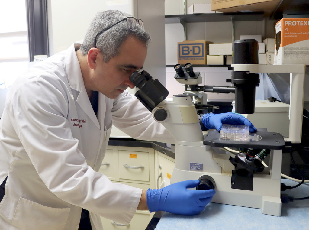 Alonso Guedes en laboratorio(1)