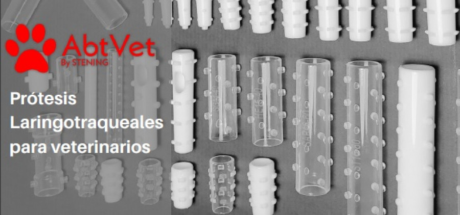 Stents centauro